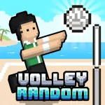 Volley-Random